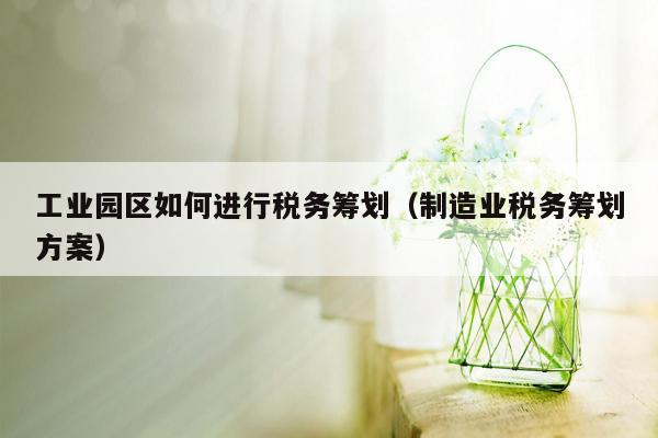 工业园区如何进行税务筹划（制造业税务筹划方案）