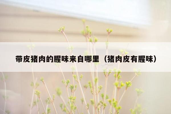 带皮猪肉的腥味来自哪里（猪肉皮有腥味）