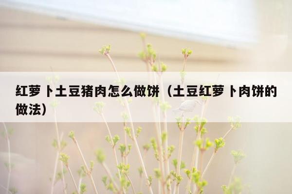 红萝卜土豆猪肉怎么做饼（土豆红萝卜肉饼的做法）