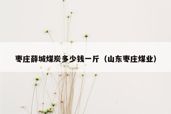 枣庄薛城煤炭多少钱一斤（山东枣庄煤业）