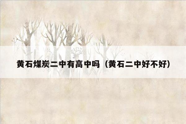 黄石煤炭二中有高中吗（黄石二中好不好）