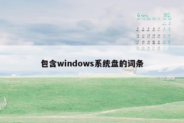 包含windows系统盘的词条