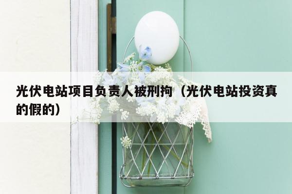 光伏电站项目负责人被刑拘（光伏电站投资真的假的）