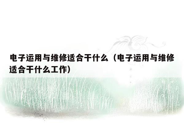 电子运用与维修适合干什么（电子运用与维修适合干什么工作）