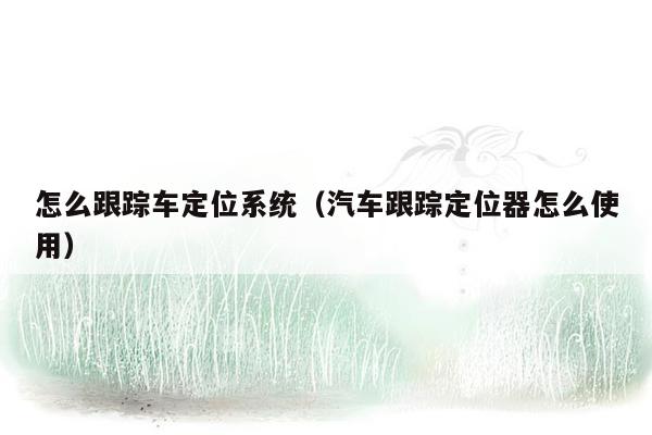 怎么跟踪车定位系统（汽车跟踪定位器怎么使用）