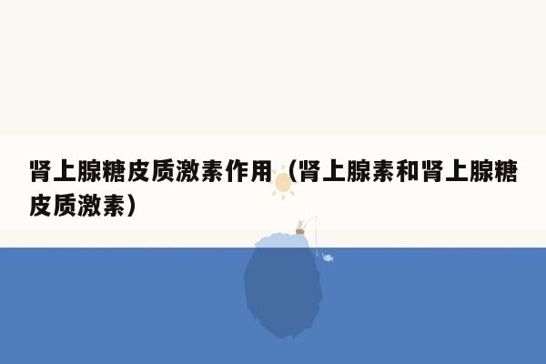 肾上腺糖皮质激素作用（肾上腺素和肾上腺糖皮质激素）