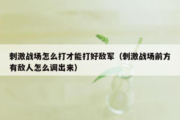 刺激战场怎么打才能打好敌军（刺激战场前方有敌人怎么调出来）