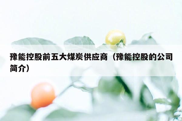 豫能控股前五大煤炭供应商（豫能控股的公司简介）