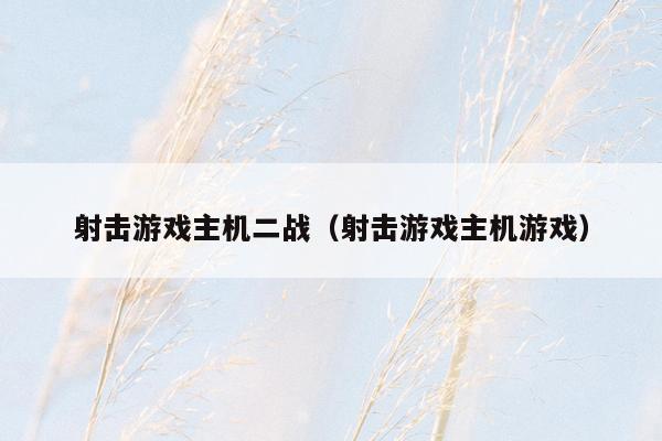 射击游戏主机二战（射击游戏主机游戏）