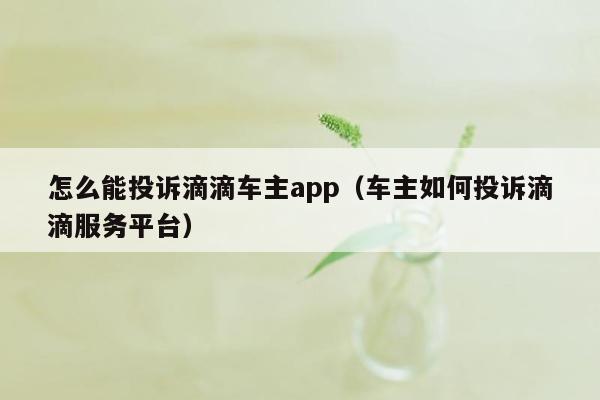 怎么能投诉滴滴车主app（车主如何投诉滴滴服务平台）