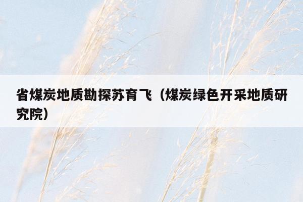 省煤炭地质勘探苏育飞（煤炭绿色开采地质研究院）