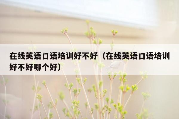在线英语口语培训好不好（在线英语口语培训好不好哪个好）