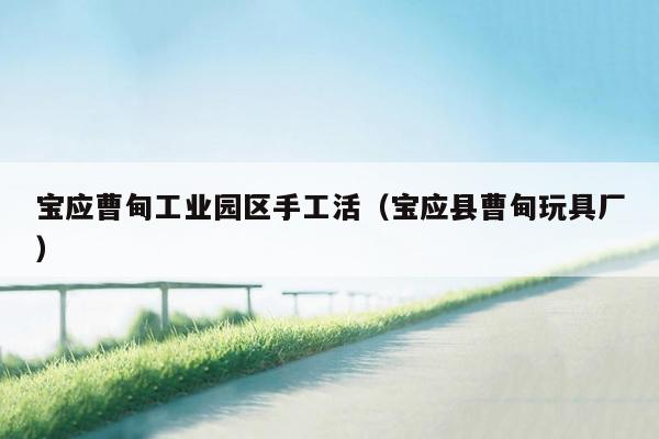 宝应曹甸工业园区手工活（宝应县曹甸玩具厂）