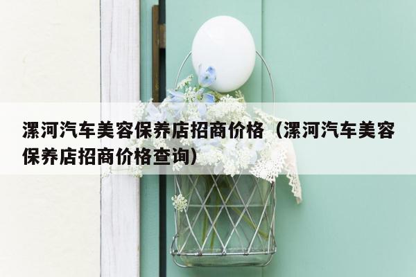 漯河汽车美容保养店招商价格（漯河汽车美容保养店招商价格查询）