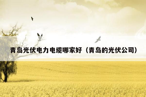 青岛光伏电力电缆哪家好（青岛的光伏公司）