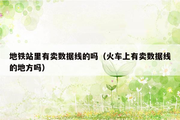 地铁站里有卖数据线的吗（火车上有卖数据线的地方吗）