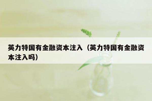 英力特国有金融资本注入（英力特国有金融资本注入吗）