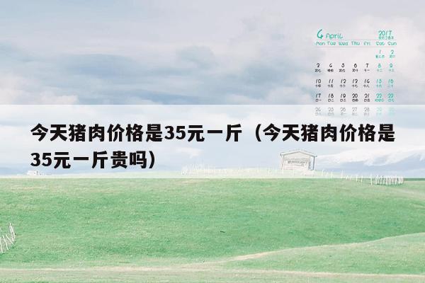 今天猪肉价格是35元一斤（今天猪肉价格是35元一斤贵吗）