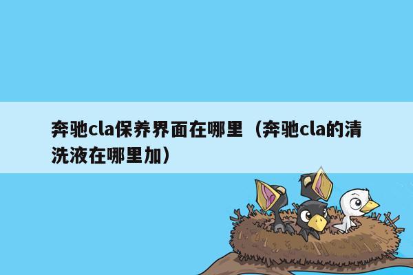 奔驰cla保养界面在哪里（奔驰cla的清洗液在哪里加）