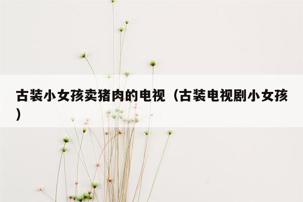 古装小女孩卖猪肉的电视（古装电视剧小女孩）