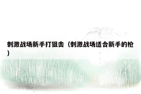 刺激战场新手打狙击（刺激战场适合新手的枪）