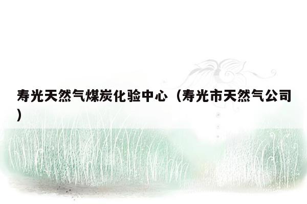 寿光天然气煤炭化验中心（寿光市天然气公司）