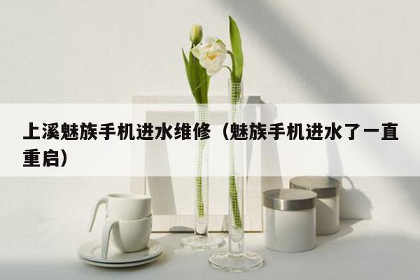 上溪魅族手机进水维修（魅族手机进水了一直重启）