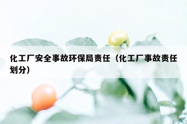 化工厂安全事故环保局责任（化工厂事故责任划分）