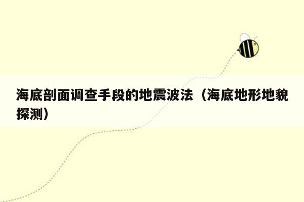海底剖面调查手段的地震波法（海底地形地貌探测）