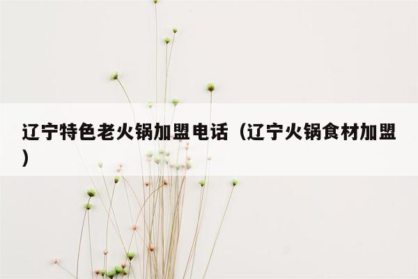 辽宁特色老火锅加盟电话（辽宁火锅食材加盟）