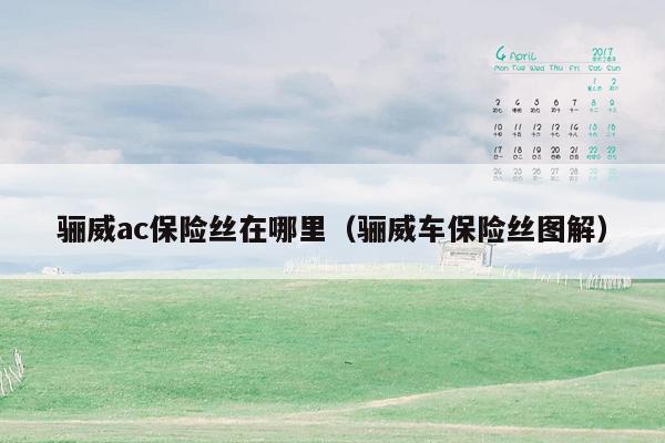 骊威ac保险丝在哪里（骊威车保险丝图解）