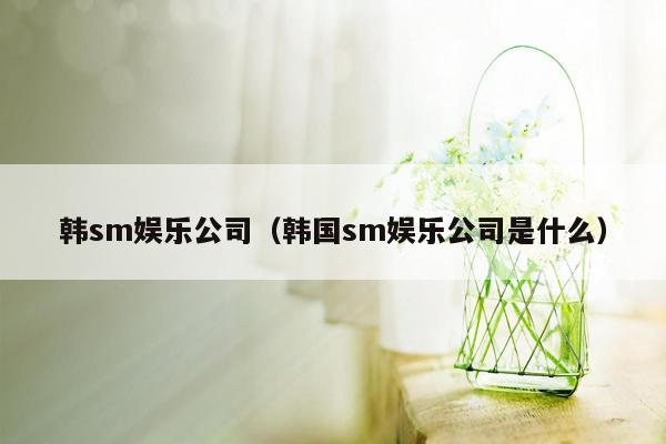 韩sm娱乐公司（韩国sm娱乐公司是什么）