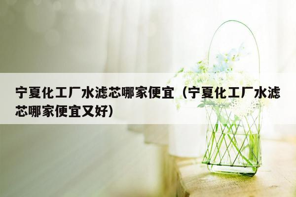 宁夏化工厂水滤芯哪家便宜（宁夏化工厂水滤芯哪家便宜又好）