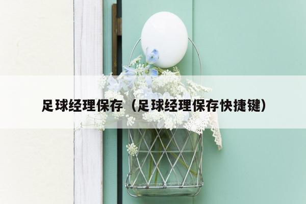 足球经理保存（足球经理保存快捷键）