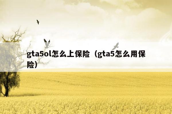 gta5ol怎么上保险（gta5怎么用保险）