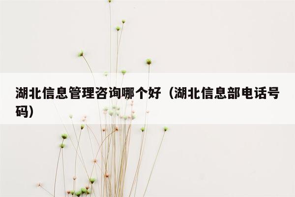 湖北信息管理咨询哪个好（湖北信息部电话号码）