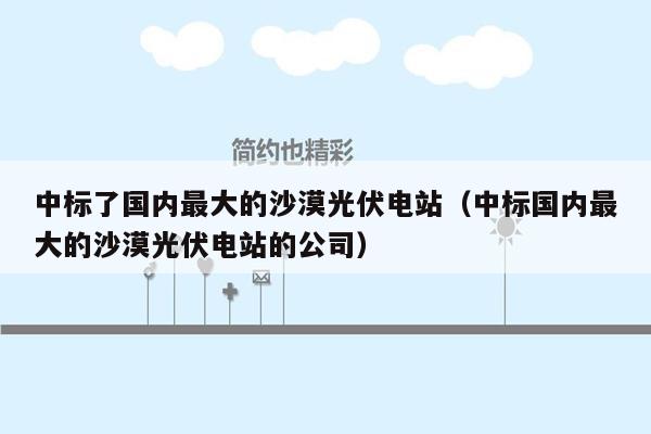 中标了国内最大的沙漠光伏电站（中标国内最大的沙漠光伏电站的公司）