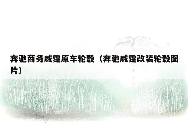 奔驰商务威霆原车轮毂（奔驰威霆改装轮毂图片）