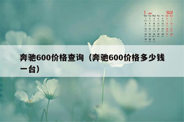 奔驰600价格查询（奔驰600价格多少钱一台）