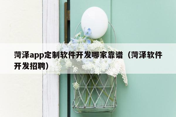 菏泽app定制软件开发哪家靠谱（菏泽软件开发招聘）