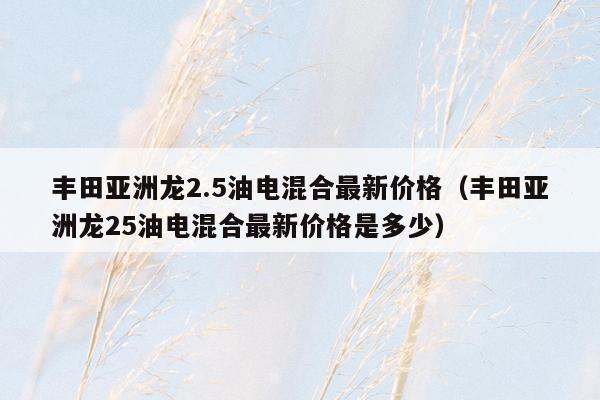 丰田亚洲龙2.5油电混合最新价格（丰田亚洲龙25油电混合最新价格是多少）